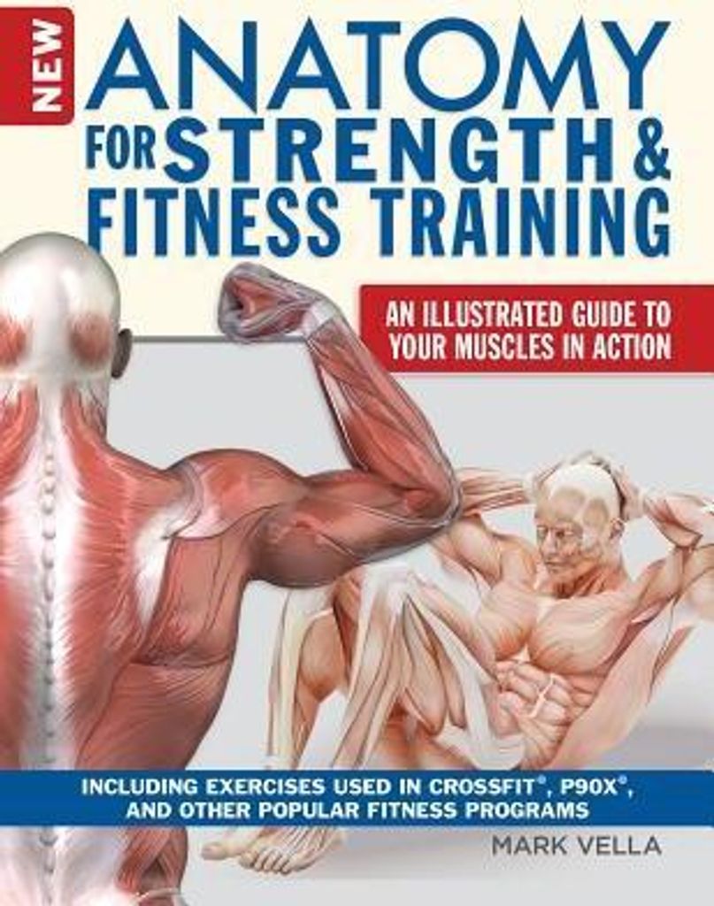 Anatomy for Strength and Fitness Training