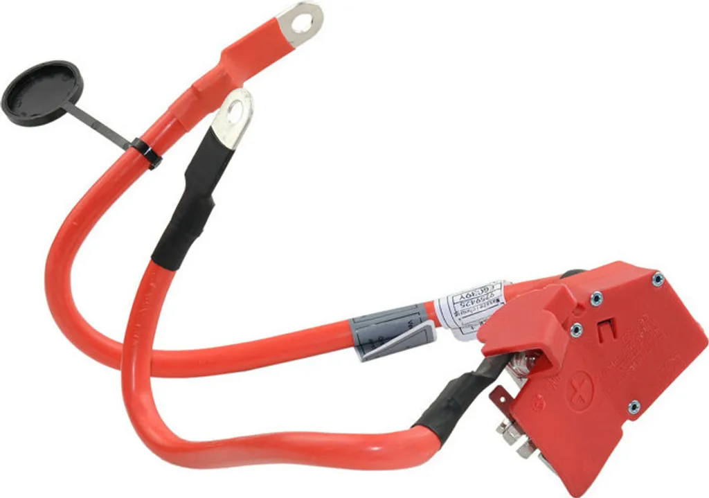 Cavo Batteria BMW F30 F32 328I | Positivo con Protezione Fusibile