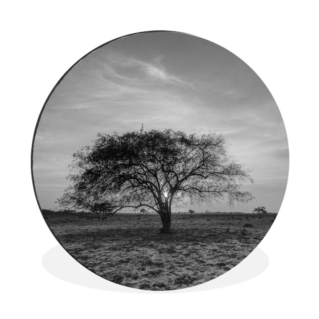 MuchoWow Aluminium Wandkreis Baum - Indonesien - Schwarz - Weiß Ø 60 cm Wanddeko Modern Wohnzimmer - Wand Kreis - Wandbild - Schlafzimmer - Alu...