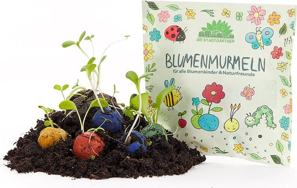 50 bunte Blumenmurmeln im Tütchen – Seedbombs für eine Blumenwiese – Nachhaltiges Mitgebsel für Kindergeburtstag, Kita & Abschiedsgeschenk ...