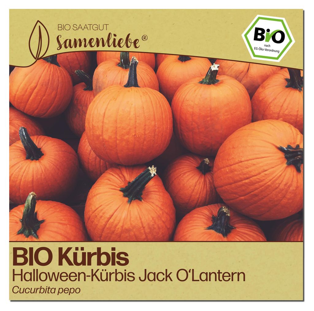 Samenliebe  Kürbis Samen | Jack O'Lantern - groß - Produktbild 