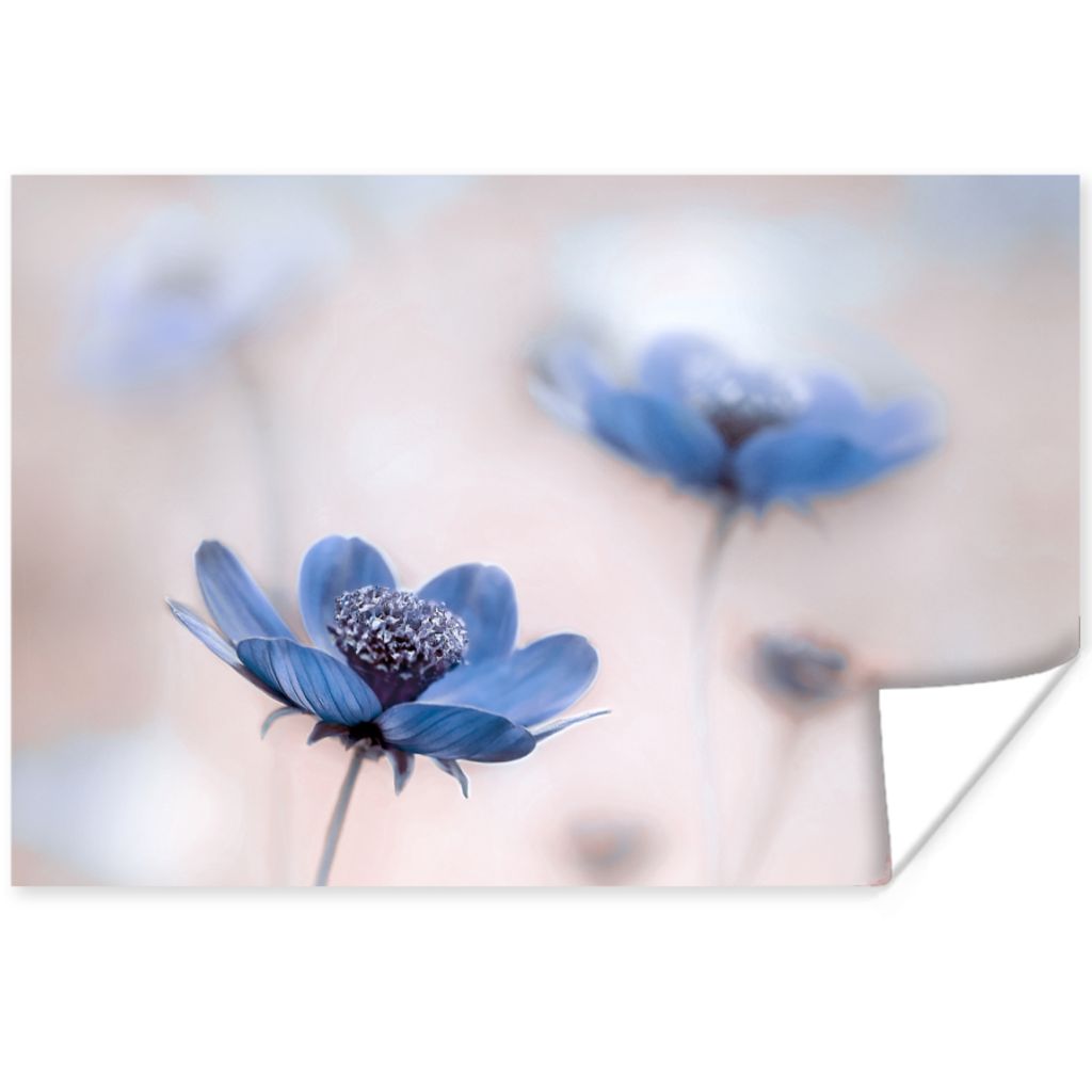 MuchoWow Poster Kosmos - Blumen - Natur - Blau 30x20 cm - Plakate - Print