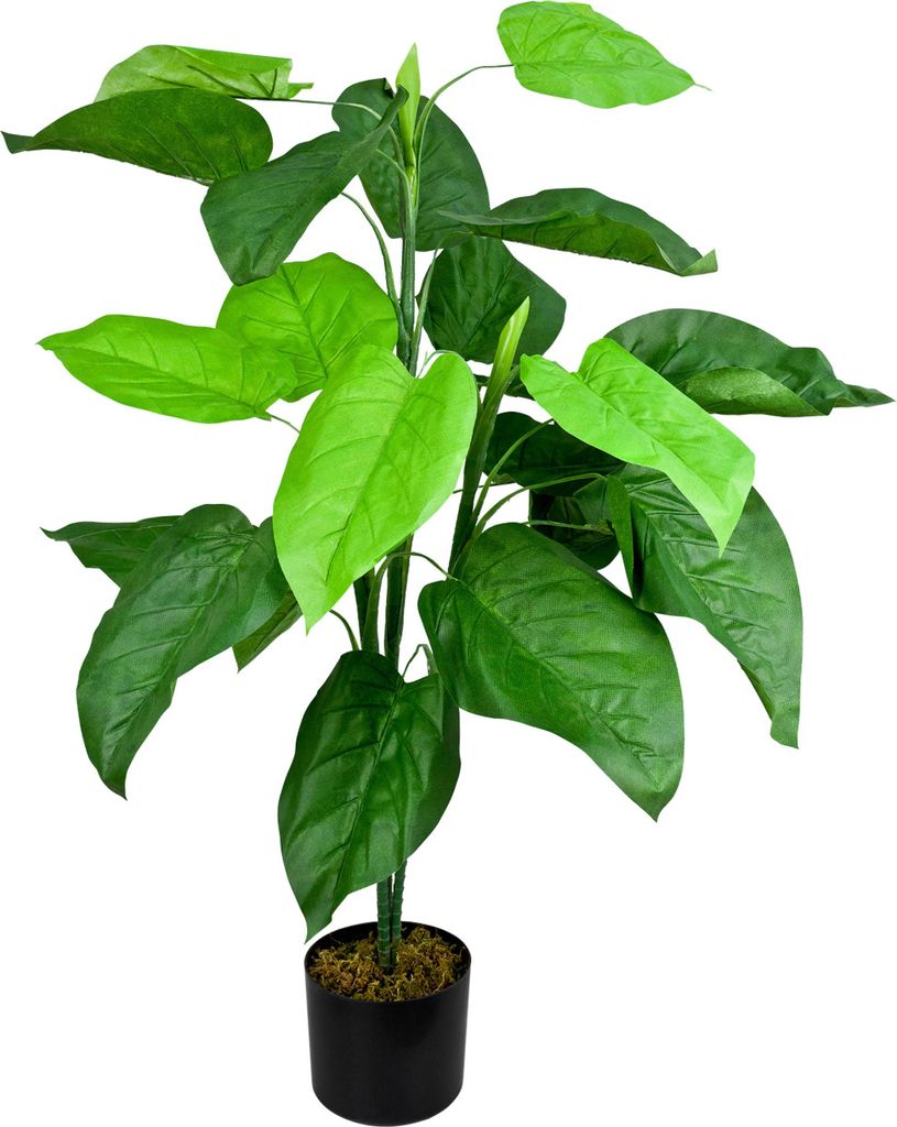 Decovego Künstlicher Aronstab (Araceae Arum Taro), Produktbild 