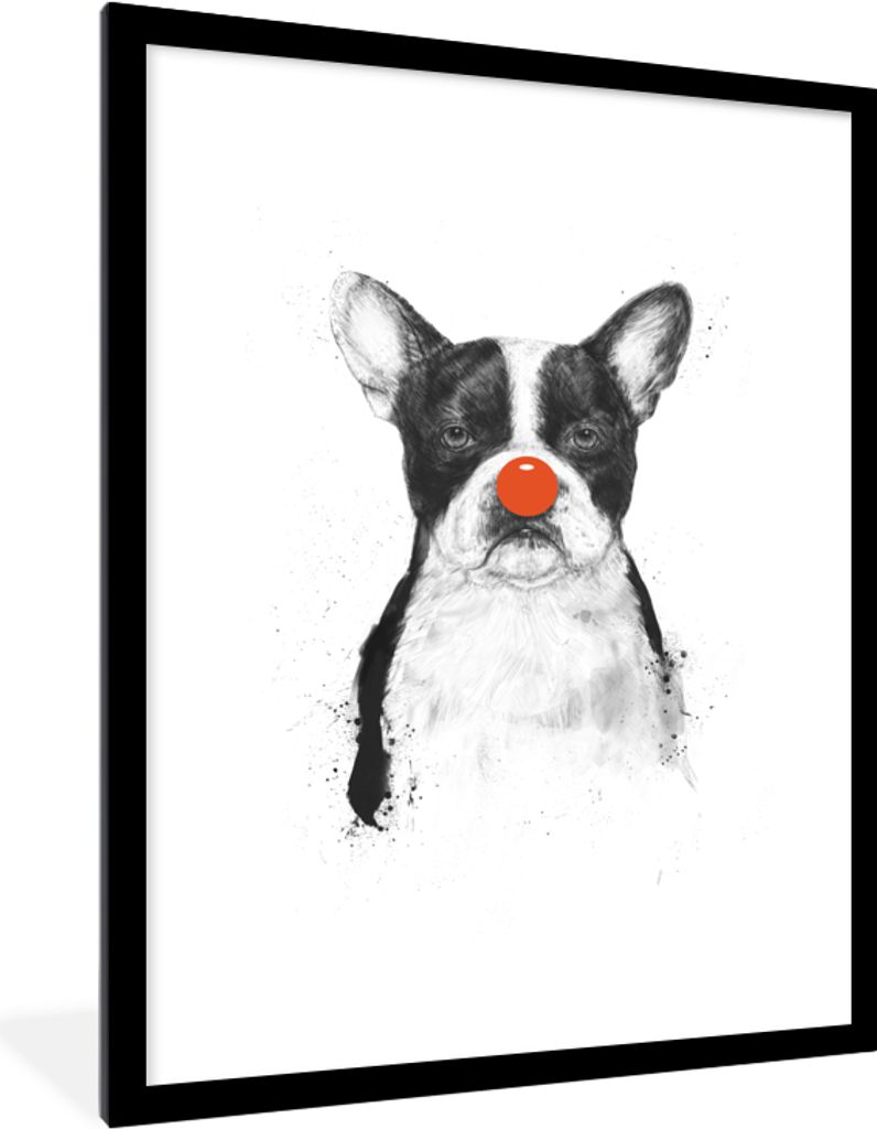 MuchoWow Gerahmtes Poster Hund - Rot - Nase - Clown 60x80 cm - Poster mit Schwarzem Bilderrahmen Wandposter Rahmen Foto Bilder - Wohnzimmer - Dek...