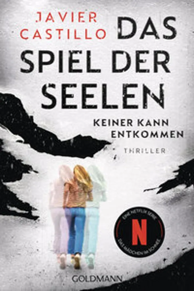 Lecture Suspense Das Spiel der Seelen Idéal pour Fans de Polars Noir 19cm