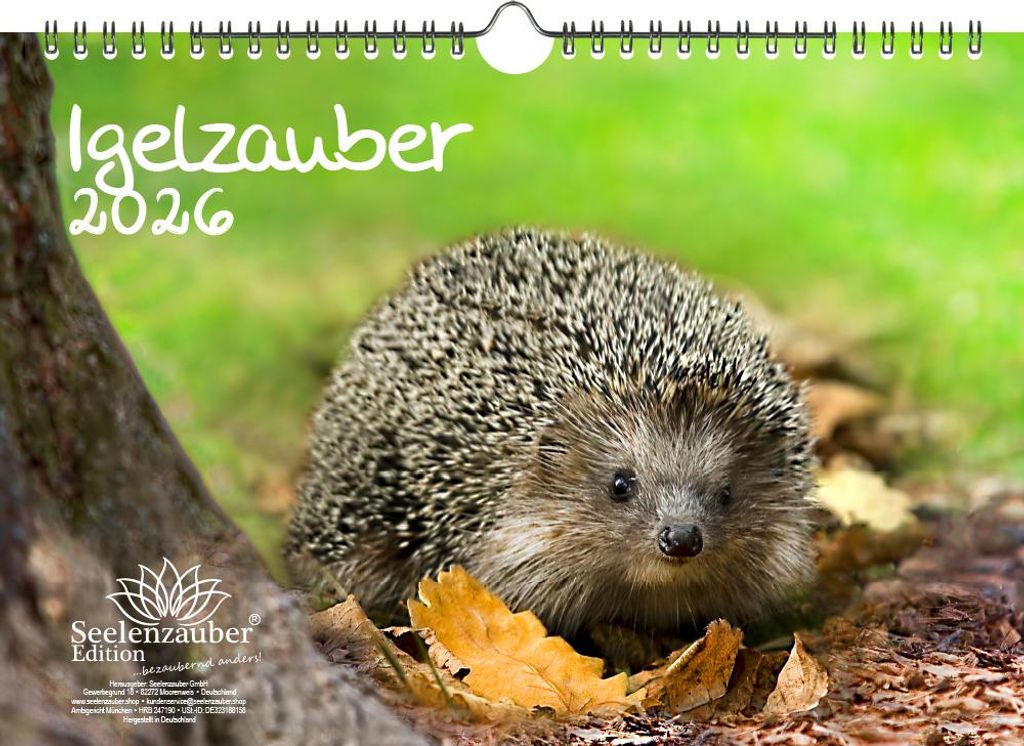Igelzauber DIN A4 Kalender für 2026 Igel - Seelenzauber