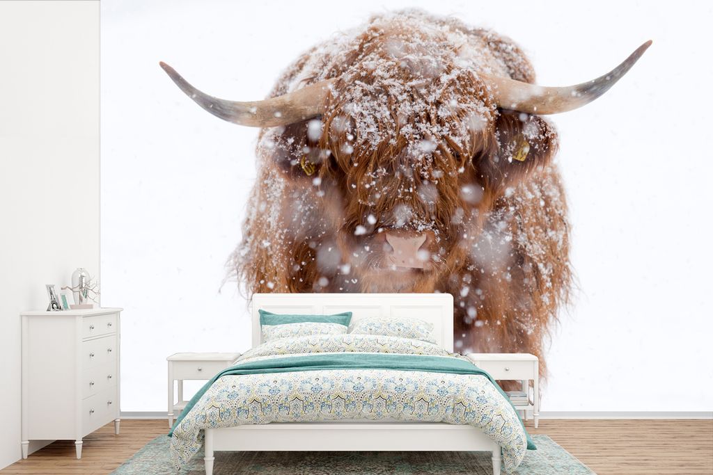 MuchoWow Fototapete für Wohnzimmer oder Schlafzimmer Wandtapete Vinyl Motivtapete Schottischer Highlander - Schnee - Porträt - 420x280 cm - Zim...