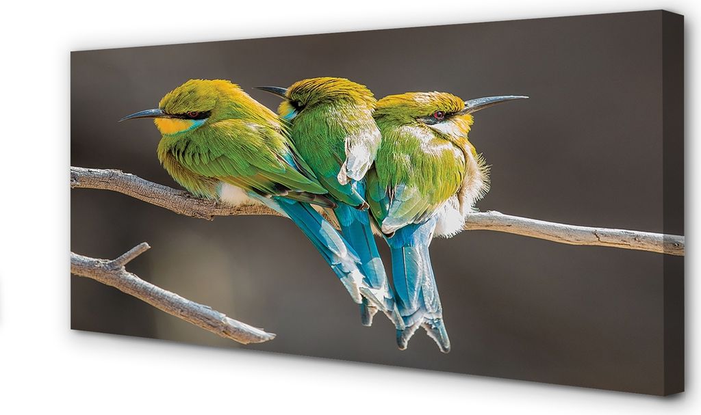 Leinwandbild 120x60 Wandkunst Vögel auf einem Ast