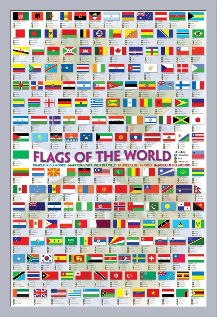 Educazione - Educazione - Poster - Bandiere del mondo + cornice rimovibile, Shinsuke® Maxi MDF argento, vetro acrilico