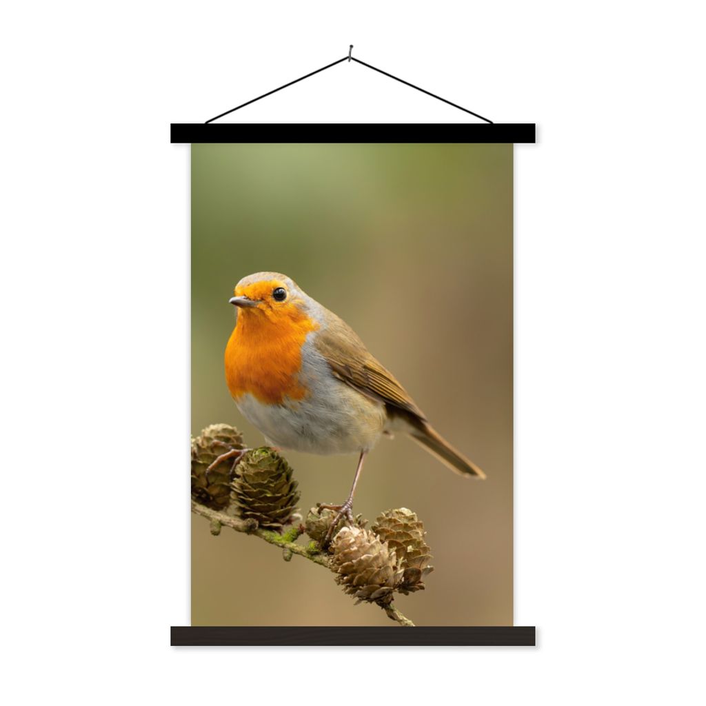 MuchoWow® Textilposter Vogel - Rotkehlchen - Tannenzapfen - Produktbild 