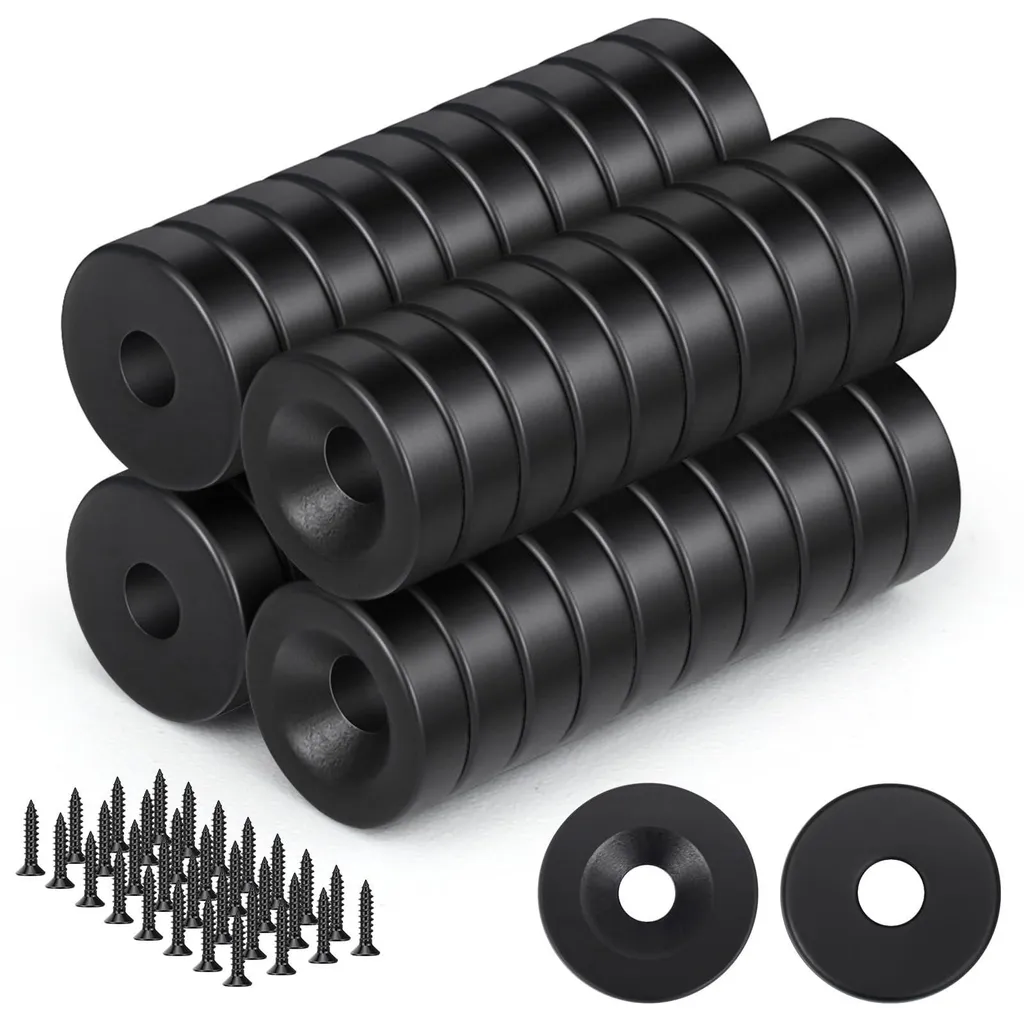 Aimants pour Réfrigérateur et Bureau avec Vis de Montage 40 Pcs