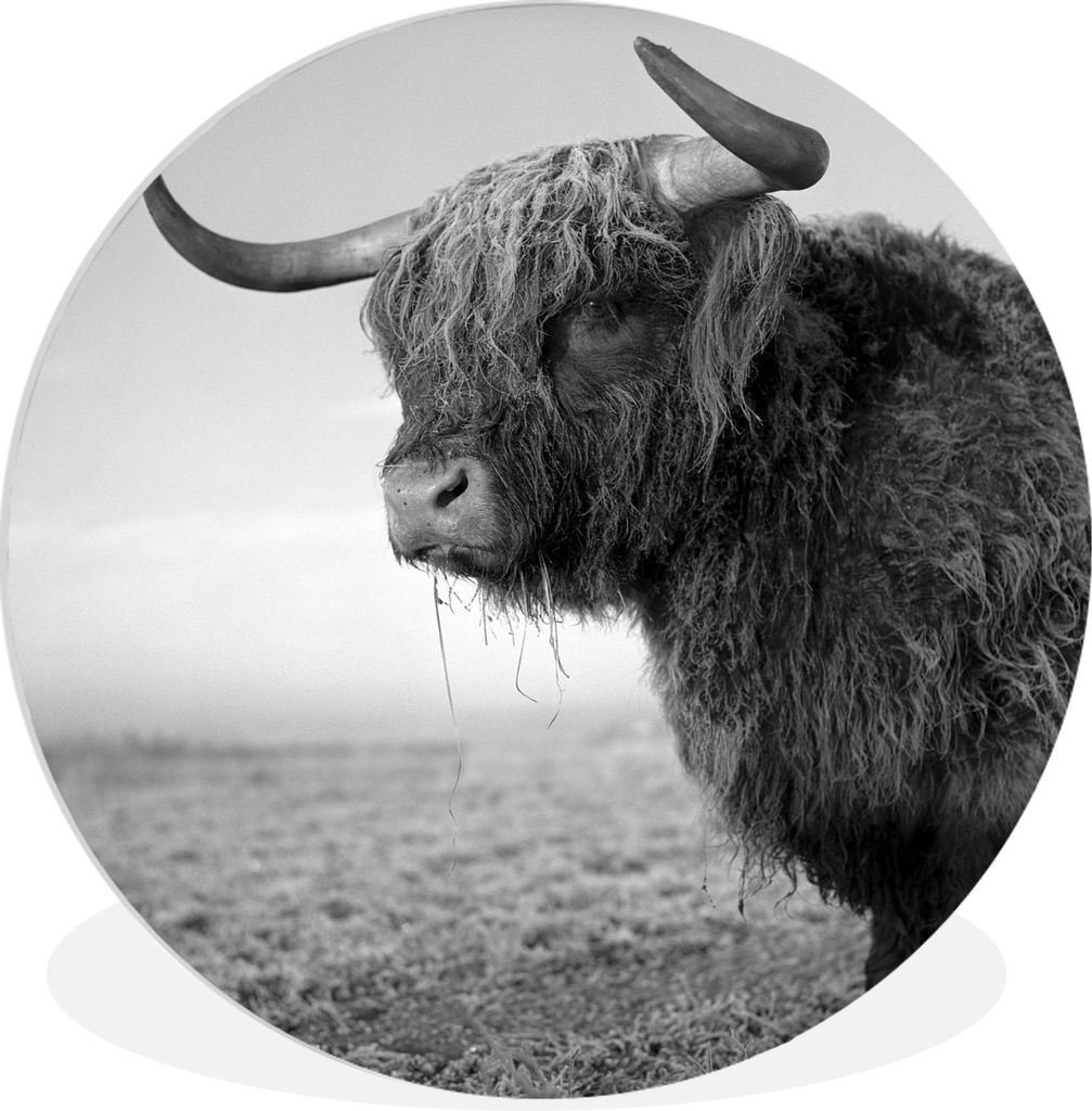 MuchoWow Rundes Wandbild - Runde Bilder Nahaufnahme schottischer Highlander im Schnee - schwarz und weiß Ø 90 cm Kreis Wanddekoration Kunststof...
