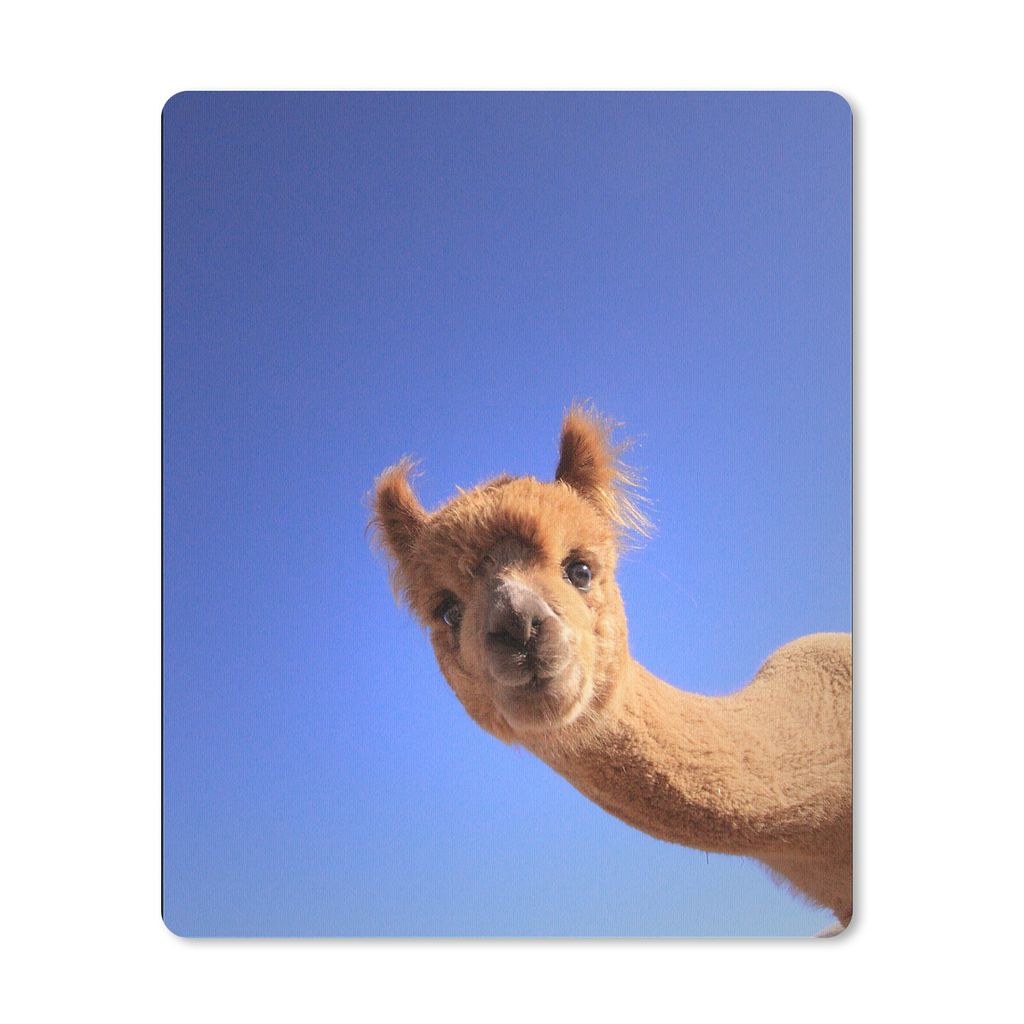 MuchoWow Mauspad Mousepad Alpaka - Braun - Blau 30x40 cm - Mousepads - Maus Mat - Pad - Mausunterlage - Mausmatten