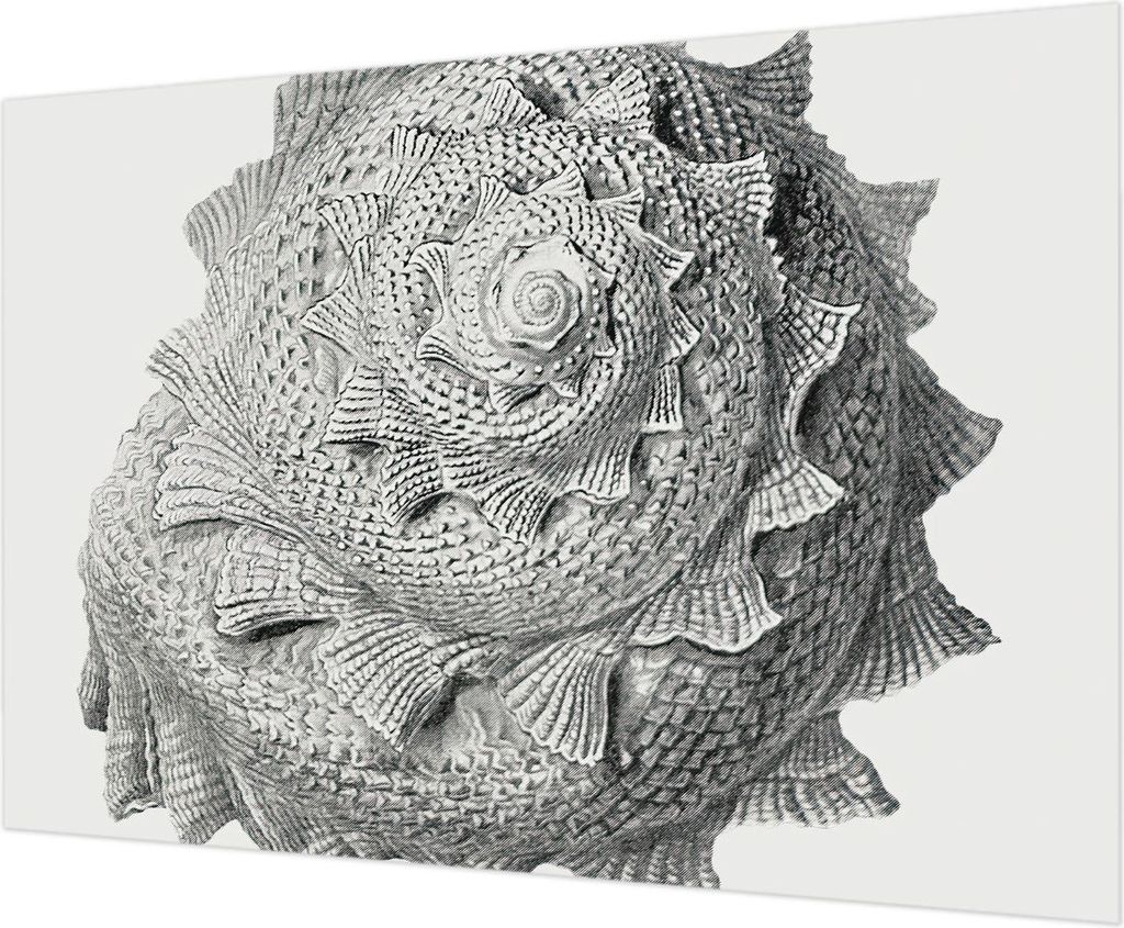 Wandtapete - Dekorative Tapete für Wohnzimmer - Tapetenfolie für Wanddekoration - 312x219 cm - Die Kunst der Natur