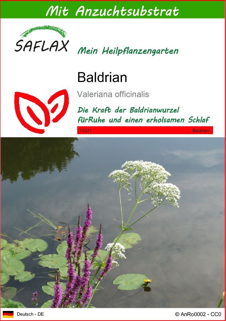 SAFLAX - Heilpflanzen - Baldrian - 200 Samen - Mit Produktbild 
