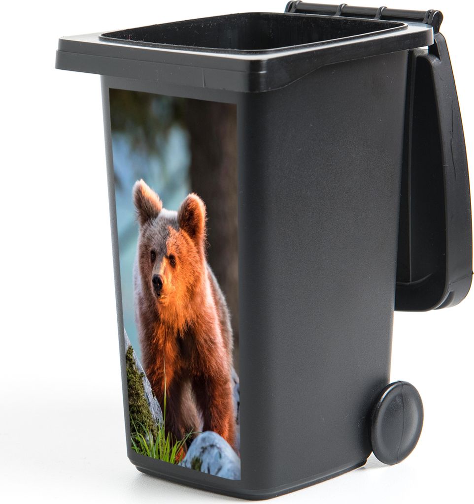 MuchoWow Mülltonnenaufkleber Bär - Braun - Tier 44x98 cm - Containeraufkleber - Aufkleber - Mülltonnen-Aufkleber