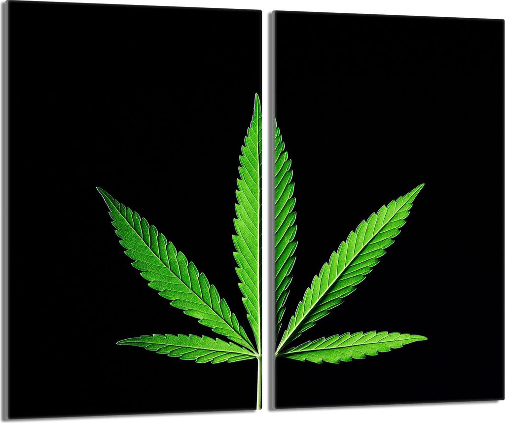 Glasschutzplatte für Herd 2x30x52 Leaf