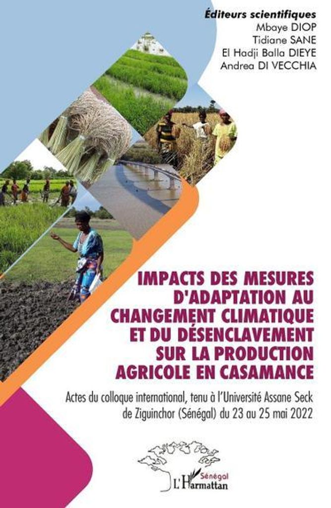 Impacts des mesures d'adaptation au changement climatique et du désenclavement sur la production agricole en Casamance