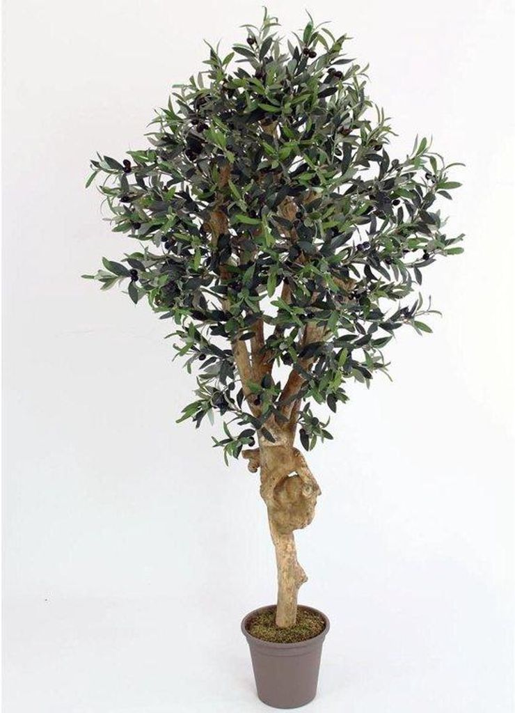 Kunstige Olivenbaum - Interieur Dekoration - Natürliche Stämme - 175 cm - Grün