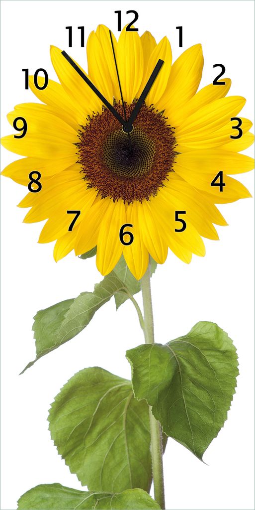 Wallario Design Wanduhr Sonnenblume aus Echtglas, Größe 30 Produktbild 