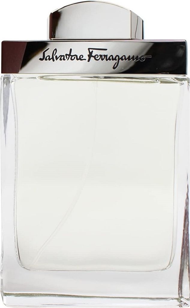 Salvatore Ferragamo Pour Homme Woda toaletowa, 100 ml Produktbild 