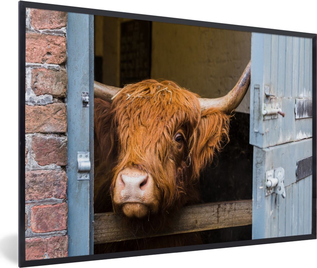 MuchoWow Gerahmtes Poster Schottischer Highlander - Bauernhaus - Scheune 60x40 cm - Poster mit Schwarzem Bilderrahmen Wandposter Rahmen Foto Bild...