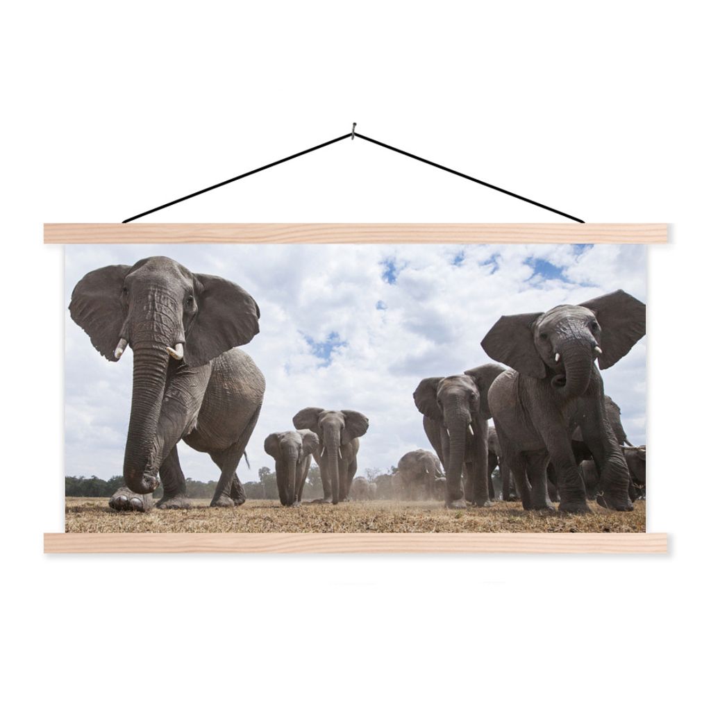 MuchoWow Textilposter Elefant - Tiere - Natur - Flachland 120x60 cm mit holzfarbenen Rahmen - Klemmleiste