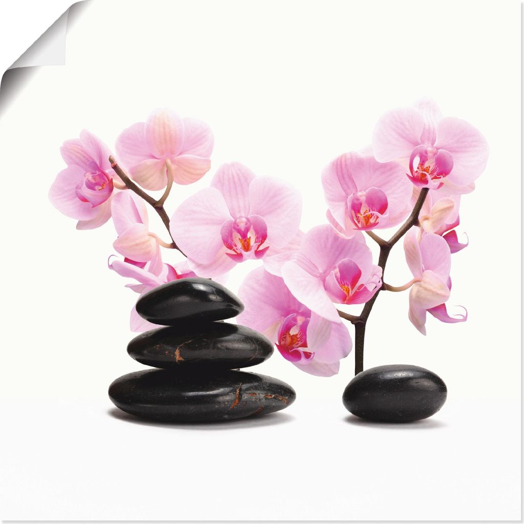ARTland Poster Schwarze Steine und pinke Orchidee Größe: 70x70 cm