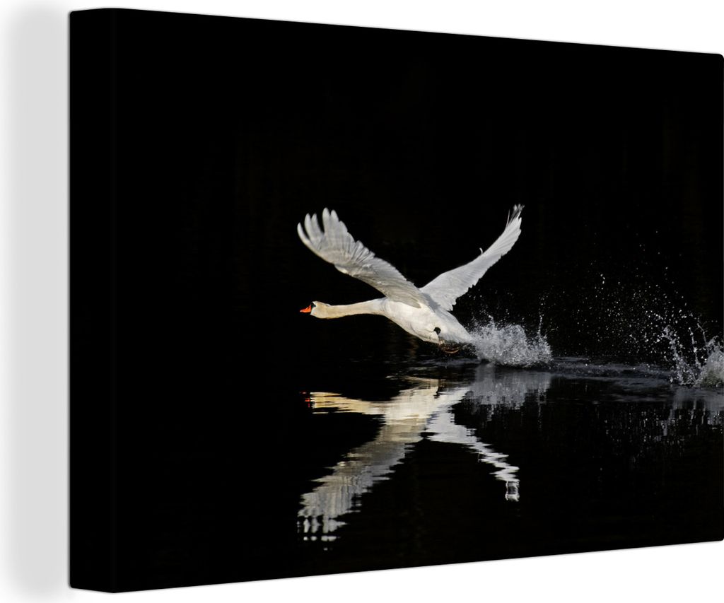 OneMillionCanvasses - Leinwandbilder - 140x90 cm, Schwan fliegt über das schwarze Wasser, Wandbilder Kunstdruck Wanddekoration