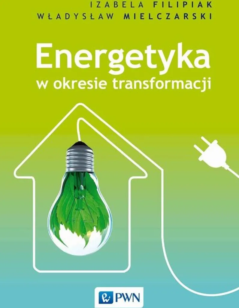 Maîtriser les enjeux de l'énergie polonaise : Livre de référence