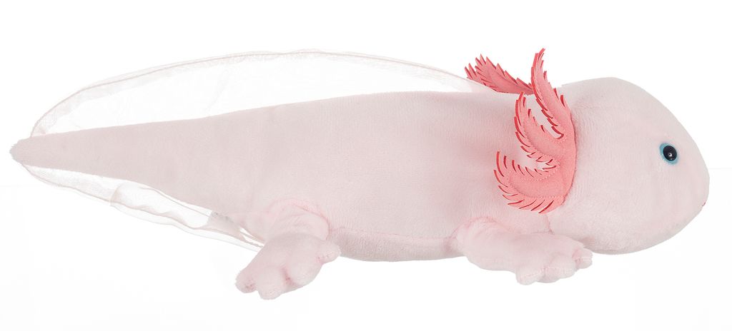 Axolotl 32cm rosa Plüschtier Kuscheltier Schwanzlurch Stofftier Molch Echse 