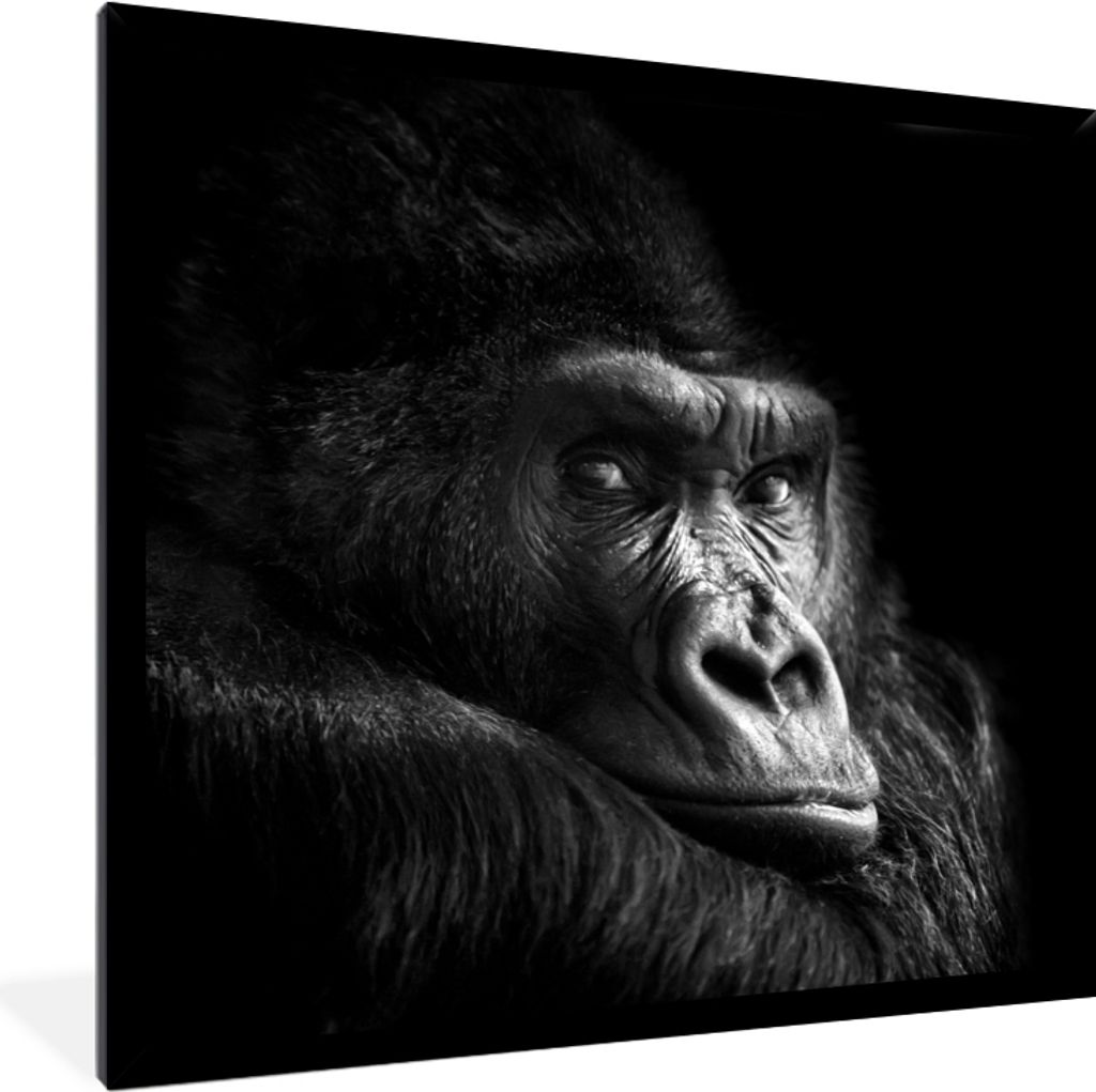 MuchoWow Gerahmtes Poster Gorilla - Affe - Schwarz - Weiß - Porträt 40x40 cm - Poster mit Schwarzem Bilderrahmen Wandposter Rahmen Foto Bilder ...