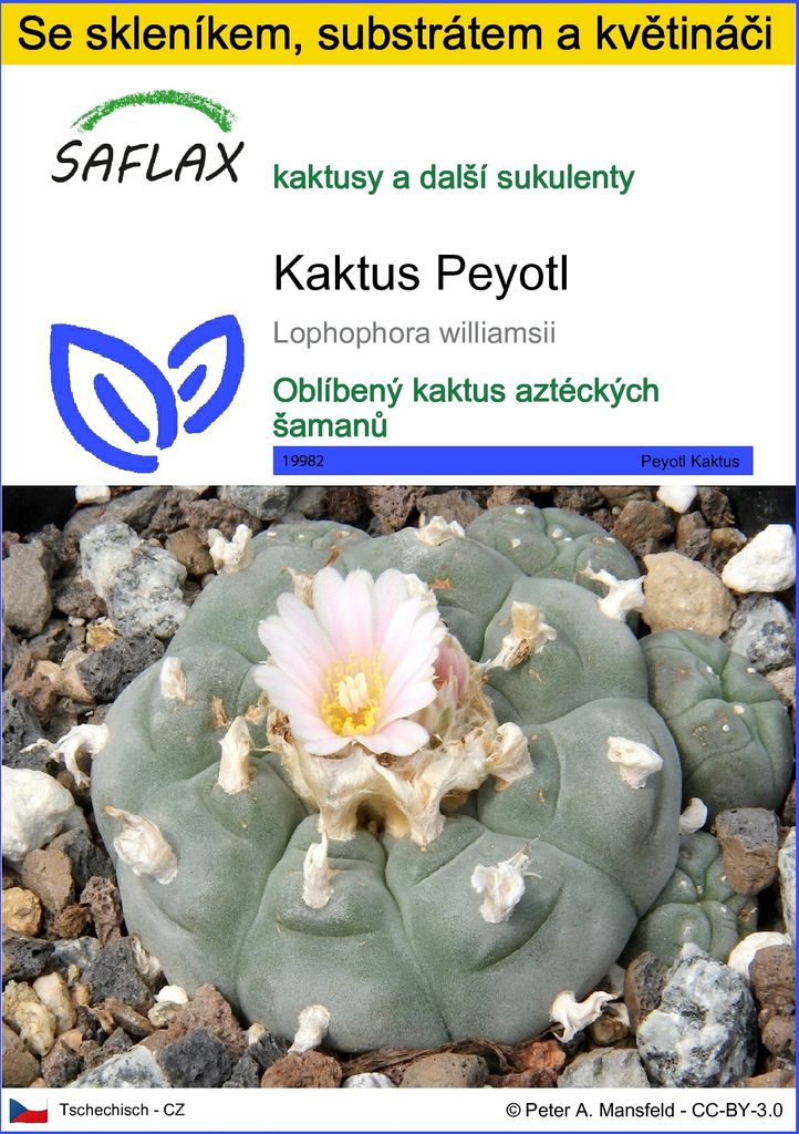 SAFLAX Kultivační sada - Kaktus Peyotl - Lophophora Obrázek produktu 