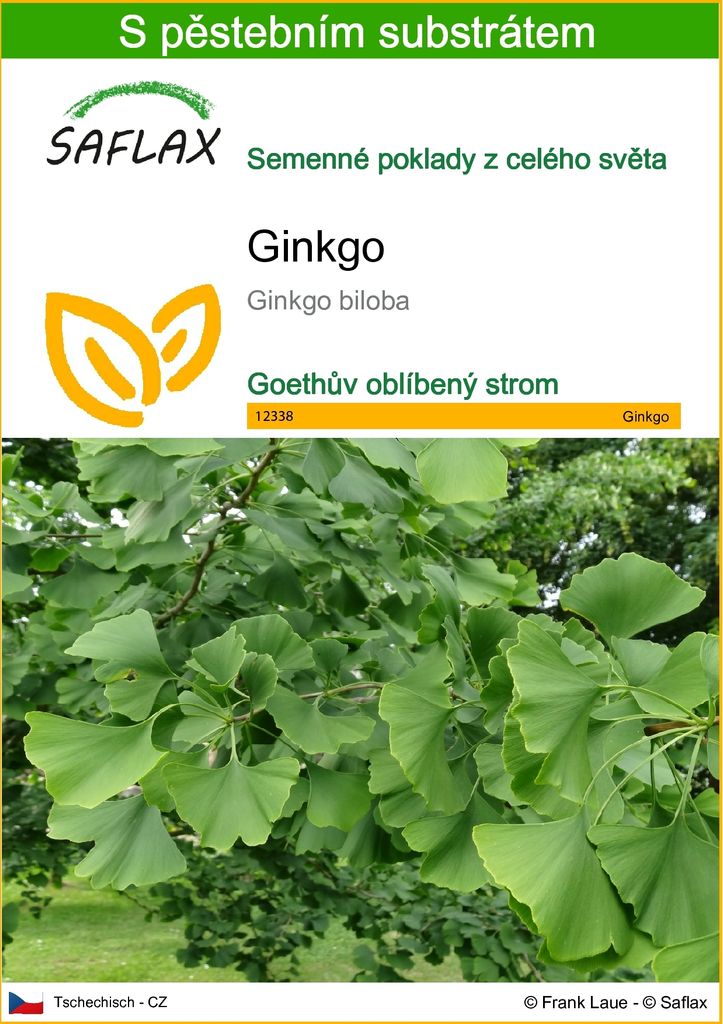 SAFLAX - ginkgo - Ginkgo biloba - 4 Semena - S pěstebním Obrázek produktu 