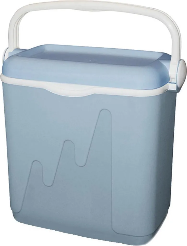 Glacière Curver bleue 20L avec poignée - Petit format compact 40 cm