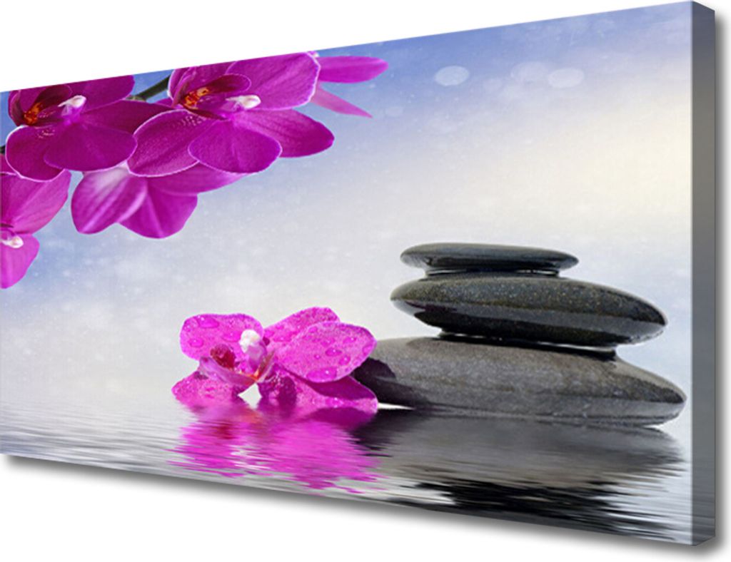 Tulup Leinwand-Bilder 100x50 Wandbild Canvas Kunstdruck Blumen Steine Pflanzen