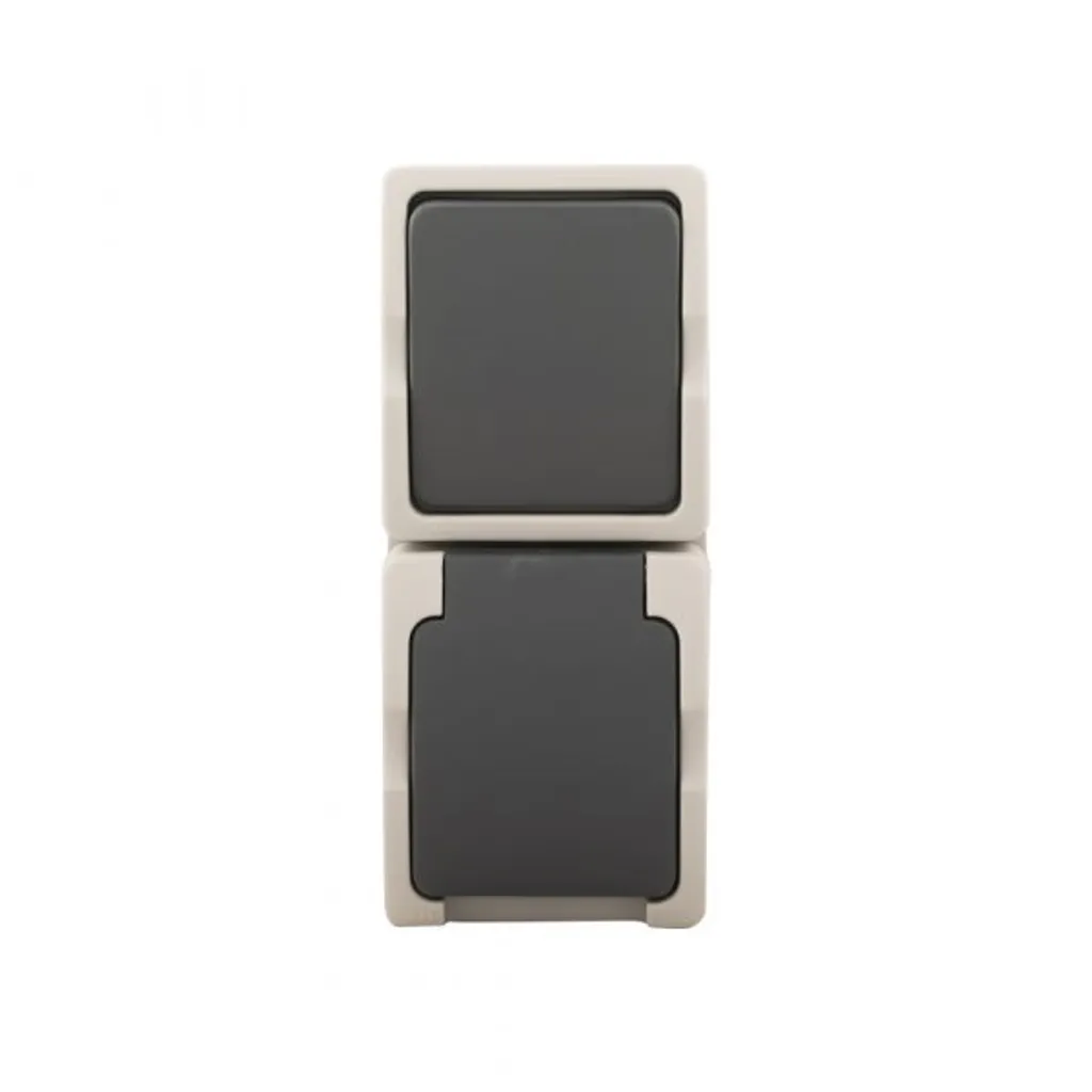 Prise de courant et interrupteur vertical WCD Exchange Switch Ra