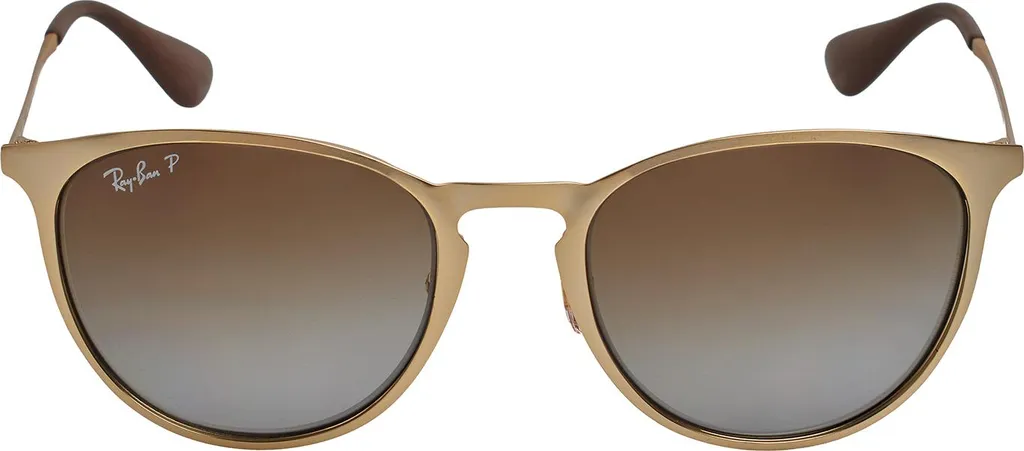 Ray Ban Erika Metal RB3539 Lunettes Polarisées Homme monture en acier