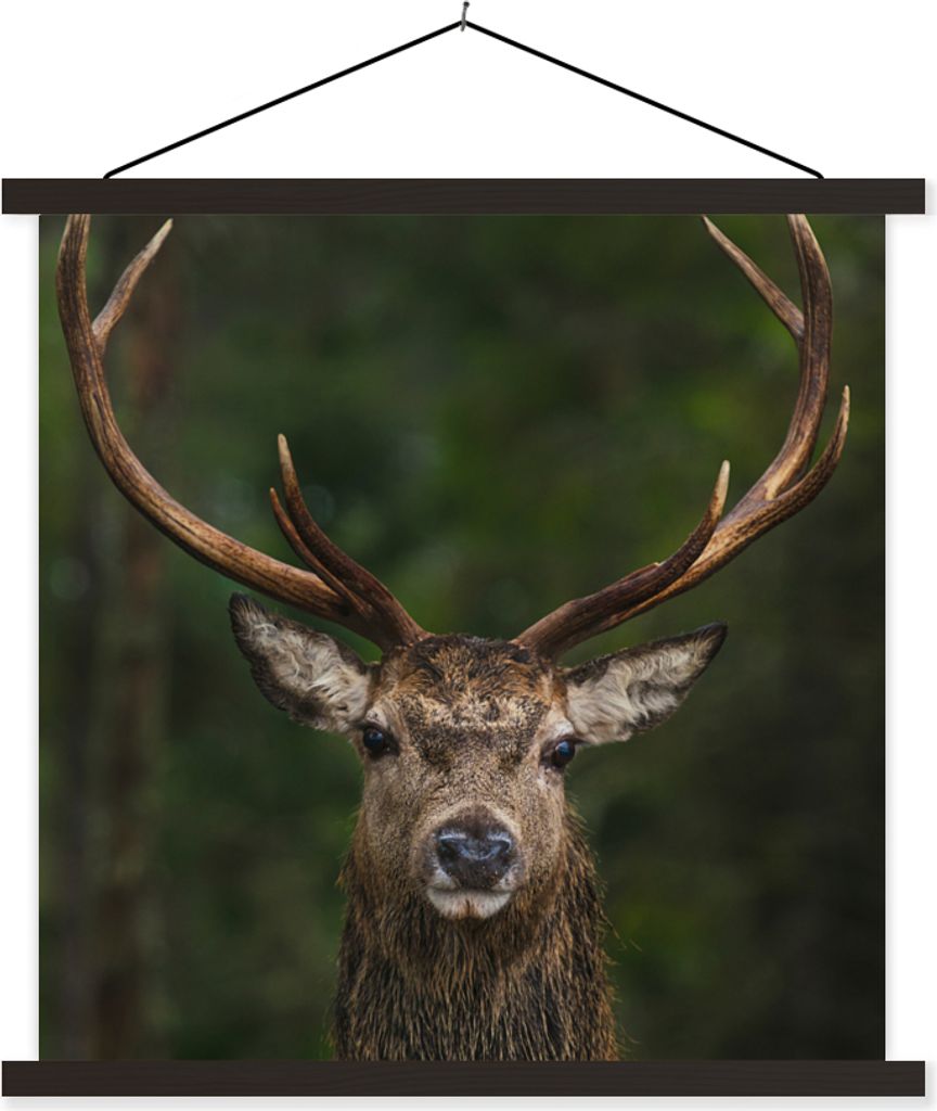 MuchoWow Textilposter Hirsch - Geweih - Natur 60x60 cm mit schwarzem Rahmen - Posteraufhänger