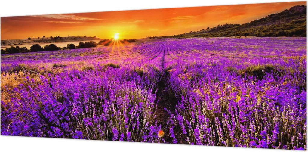 Wandtapete - Dekorative Tapete für Wohnzimmer- Tapetenfolie für Wanddekoration - 208x146 cm - Lavendel-Sonnenuntergang
