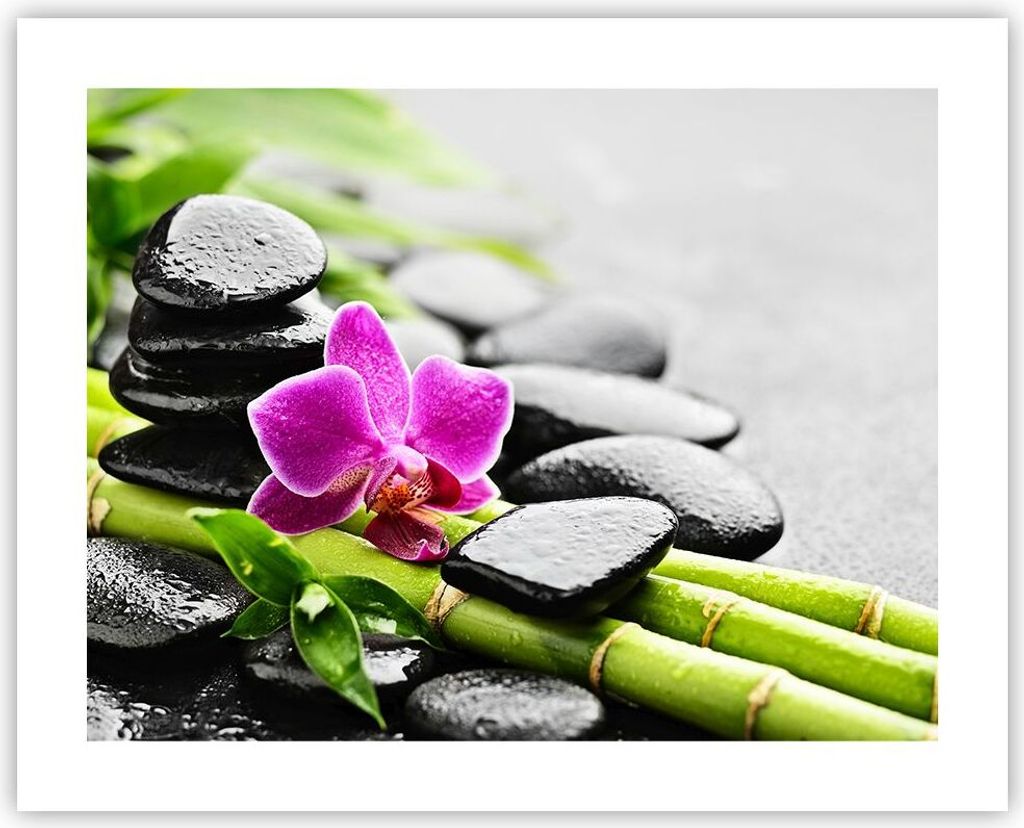 Poster - Poster ohne Rahmen - Pflanze Steine Bambus Spa - 50x40 cm - Wand Bild - Wanddeko - Wandbilder - Kunstposter - Wandposter - Bilder - Kunstd...