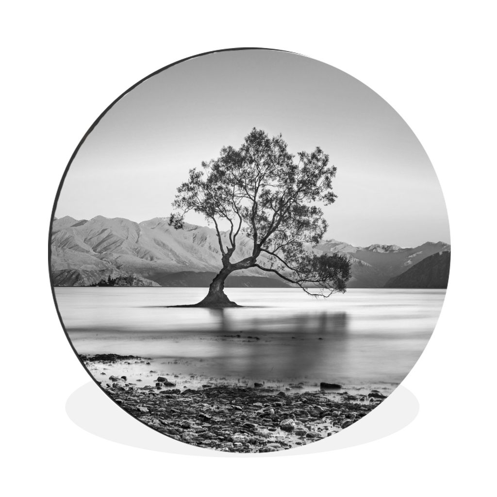 MuchoWow Aluminium Wandkreis Neuseeland - Baum - Schwarz - Weiß Ø 60 cm Wanddeko Modern Wohnzimmer - Wand Kreis - Wandbild - Schlafzimmer - Alu...