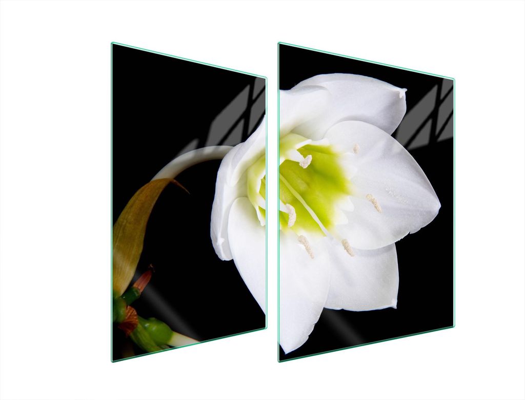 Glasschutzplatte Für Herd 70X52 Orchidee