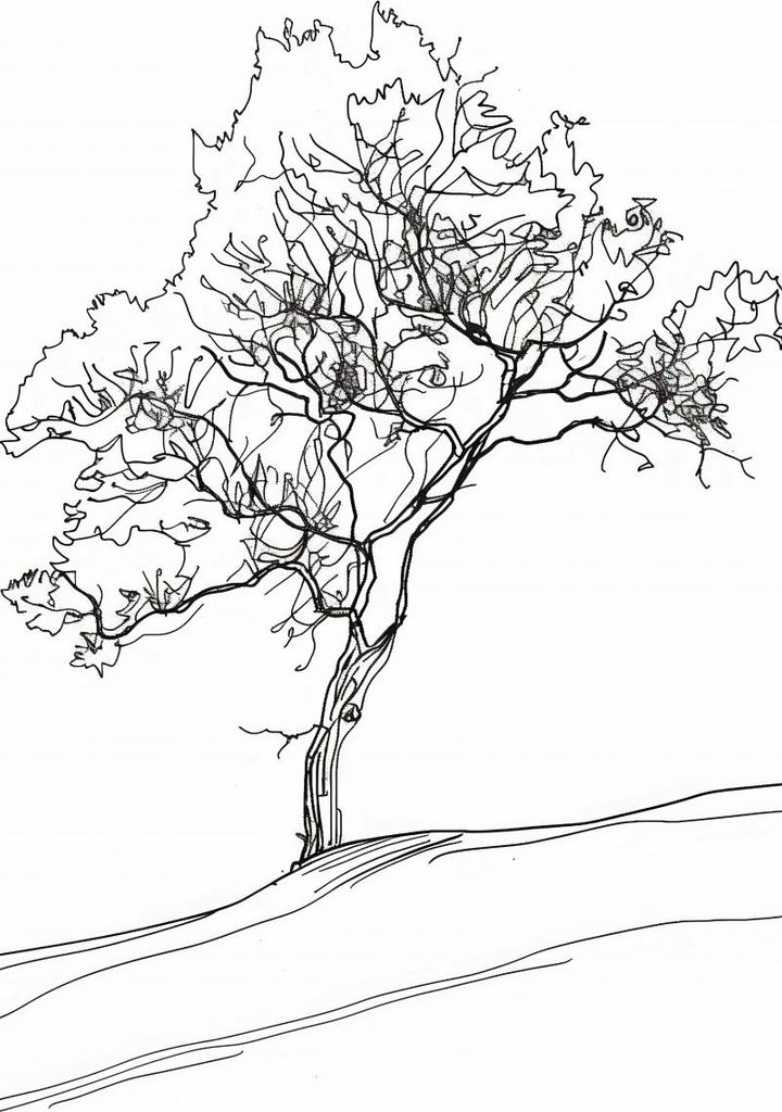 Plakat 50x100cm Baum im Umriss