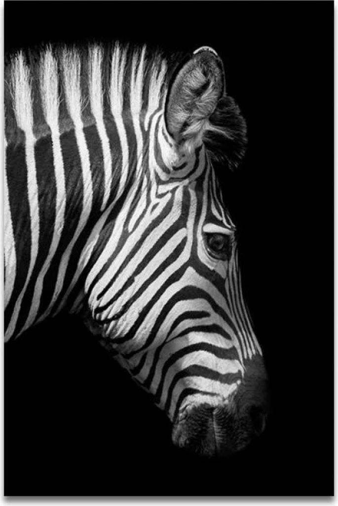 TPFLiving Kunstdruck LW-33 (OHNE RAHMEN) Poster - Leinwand - Wandbild - Hochauflösender Giclée-Druck, langlebig und hochwertig - Tierwelt Afrikas...