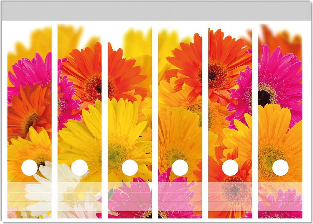 Wallario Ordnerrücken Sticker, selbstklebend für breite Ordner, 6 Stück, Motiv Bunte Gerberas - pinke, gelbe, rote und weiße Blüten