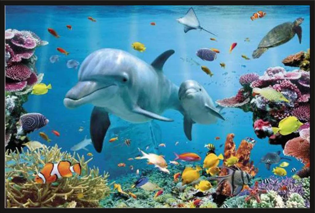 Affiche Dauphins avec Cadre Noir en Plastique et Vitre Acrylique Shinsuke