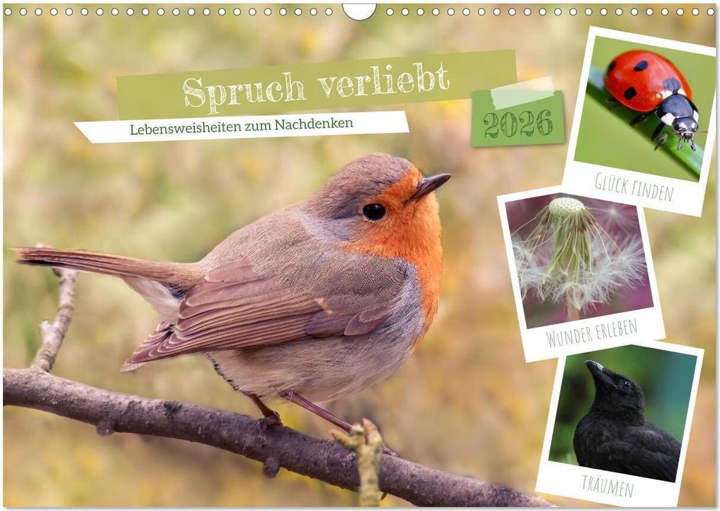 Spruch verliebt (Wandkalender 2026 DIN A3 quer), CALVENDO Monatskalender