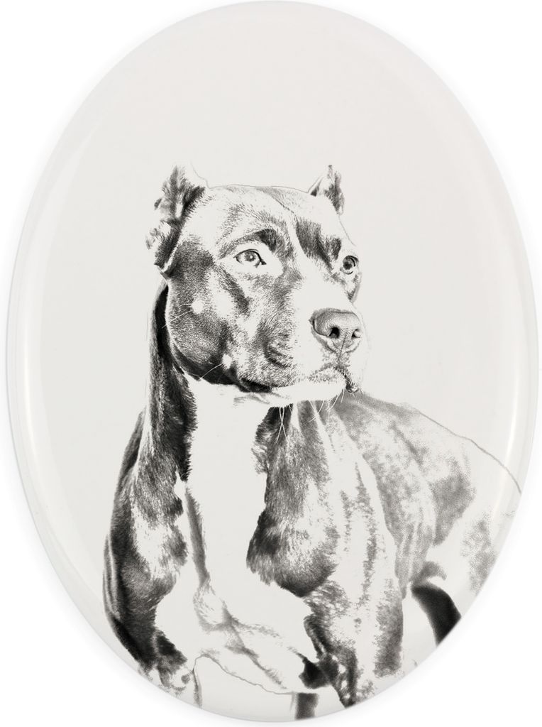 Pit Bull, American Pit Bull Terrier, Pitbull, APBT - Gedenktafel mit einem Foto eines Hundes, Grabplatte mit Druck, personalisierte ovale Platte de...