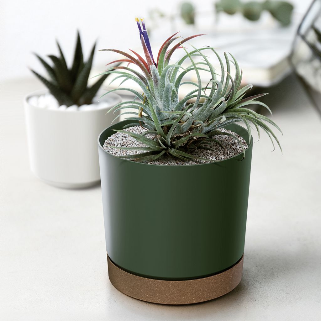 Blumentopf Pflanztopf mit Untersetzer Ø 24cm in Grün Produktbild 3